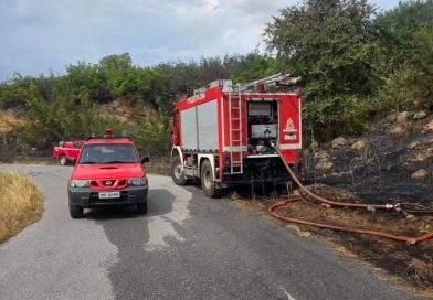 Επικαιρότητα Ηπείρου, Ελλάδας & Κόσμου — 06/07/2026