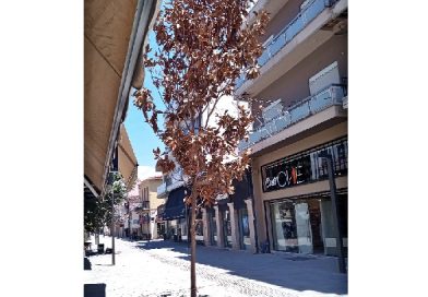 Επικαιρότητα Ηπείρου, Ελλάδας & Κόσμου — 27/07/2026
