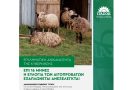 Επικαιρότητα Ηπείρου, Ελλάδας & Κόσμου — 08/08/2026