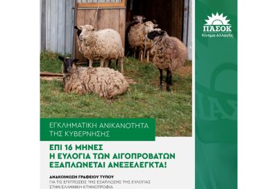 Επικαιρότητα Ηπείρου, Ελλάδας & Κόσμου — 08/08/2026 Επικαιρότητα Ηπείρου, Ελλάδας & Κόσμου — 08/08/2026
